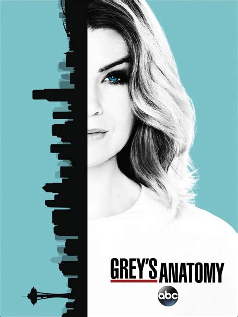 season 13 greys anatomy|netflix grey's anatomy season 13.